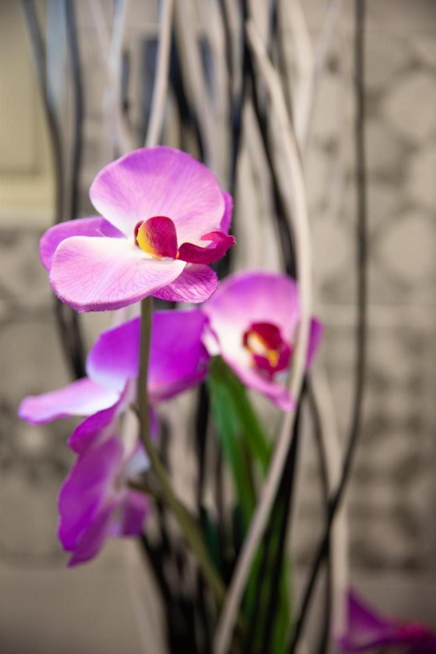 Palermo Suites & Rooms Εξωτερικό φωτογραφία